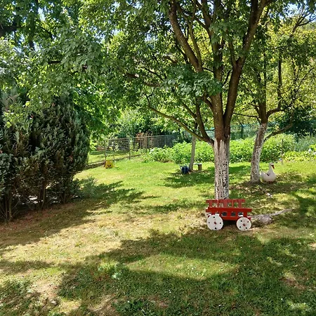 Rooms-zejnep Homestay